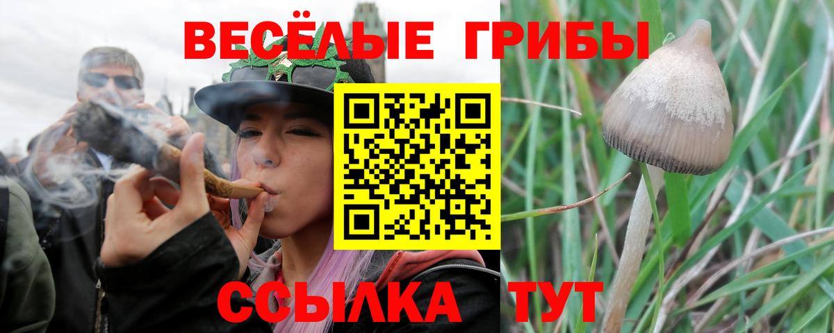 даркнет сайт  Галлюциногенные грибы мухоморы  Вход с VPN  Нарткала 